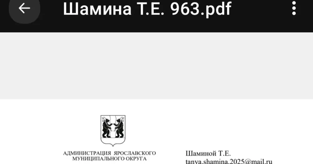 Потоп из нечистот на улице Сиреневый проезд в деревне Полесье