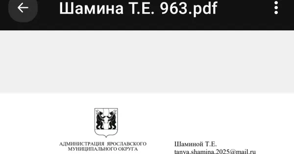 Потоп из нечистот на улице Сиреневый проезд в деревне Полесье